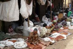 bahir-dar-005