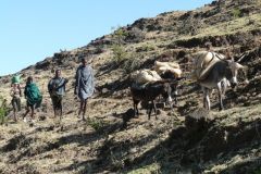 Walk to Blue Nile Falls - Farmers on the way to the market