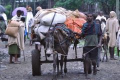bahir-dar-017