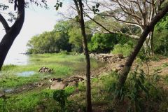 bahir-dar-025