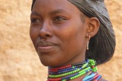 borana-026