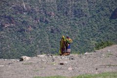 borana-028