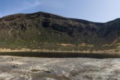 borana-030