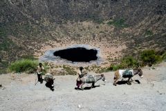 borana-031