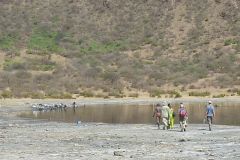 borana-033