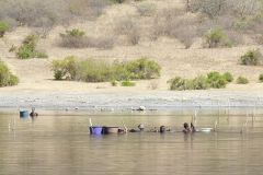 borana-034