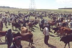 ethiopia-road-north-004