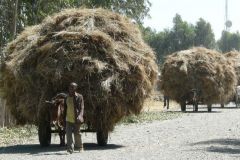 ethiopia-road-north-005