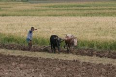 ethiopia-road-north-009