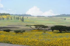 ethiopia-road-north-015