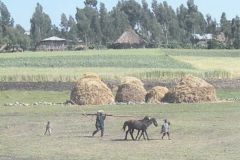 ethiopia-road-north-017
