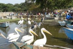 ethiopia-road-south-010