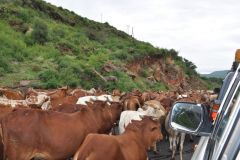 ethiopia-road-south-018