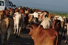 ethiopia-road-south-019