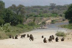 ethiopia-road-south-024