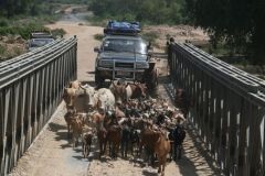 ethiopia-road-south-025