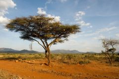 ethiopia-road-south-043