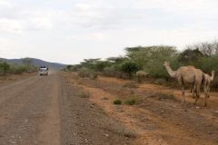 ethiopia-road-south-044