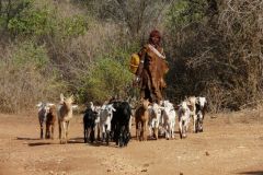 hamar-006