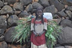 konso-004
