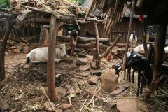konso-010