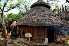 konso-011