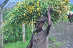 ethiopia-people-north-003