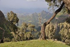 simien-mountains-005