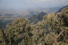 simien-mountains-006