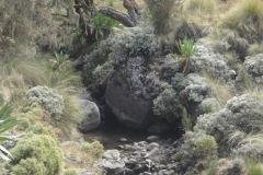 simien-mountains-013
