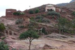 tigray-006