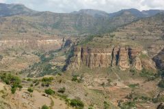 tigray-019