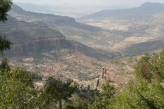 tigray-020
