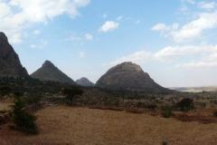 tigray-021