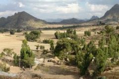 tigray-024