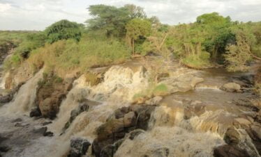 Awash National Park, 3 days