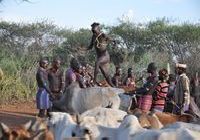 Hamar bull jump near Turmi