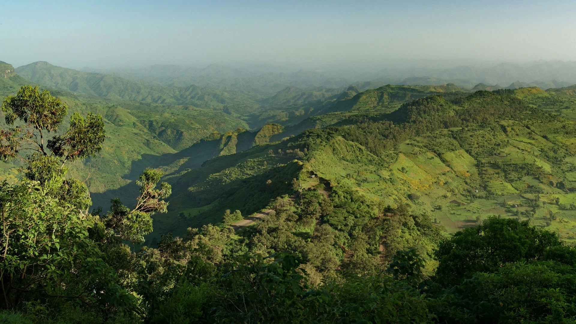 Encounter endemic wildlife in the majestic Simien Mountains