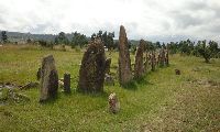 The 700 year old Tiya stelae field